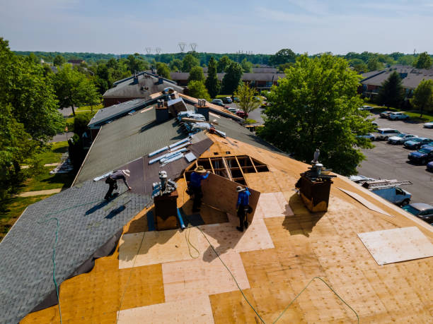Best Storm Damage Roof Repair  in Braddock Hills, PA