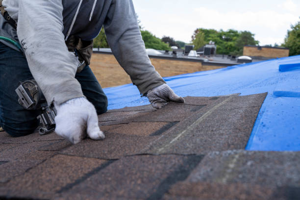 Best Emergency Roof Repair  in Braddock Hills, PA