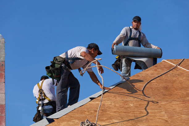 Best Local Roofing Companies  in Braddock Hills, PA