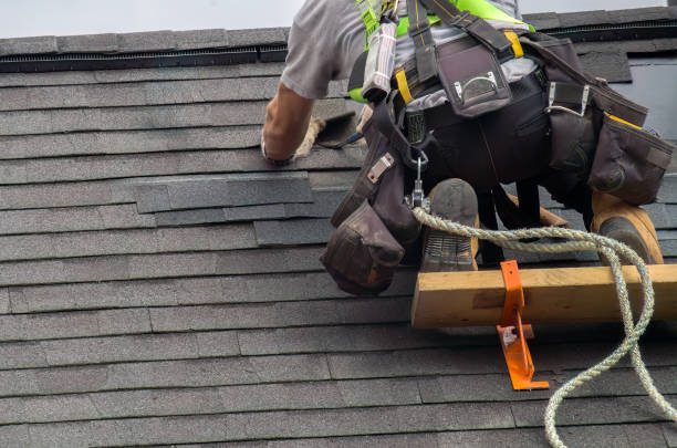 Best Roof Waterproofing Services  in Braddock Hills, PA