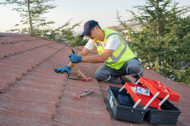 Professional Roofing Contractor in Braddock Hills, PA