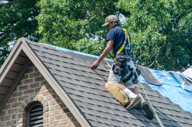 Best Roof Gutter Cleaning  in Braddock Hills, PA
