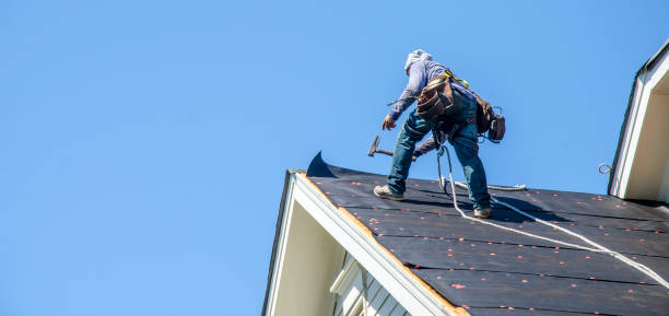 Best Roof Restoration Services  in Braddock Hills, PA